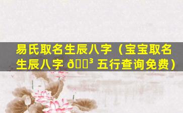 易氏取名生辰八字（宝宝取名生辰八字 🐳 五行查询免费）